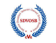 Logo for Service Disabled Veteran Owned Small Business (SDVOSB).